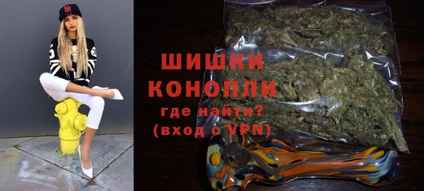 крисы Армянск